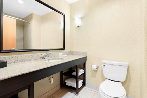 Comfort Suites Tampa Airport North - image 9