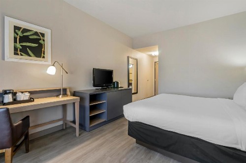 Country Inn & Suites by Radisson Tampa Airport North FL - image 38