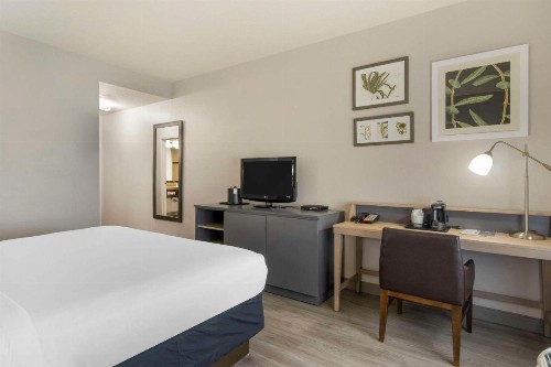 Country Inn & Suites by Radisson Tampa Airport North FL - image 7