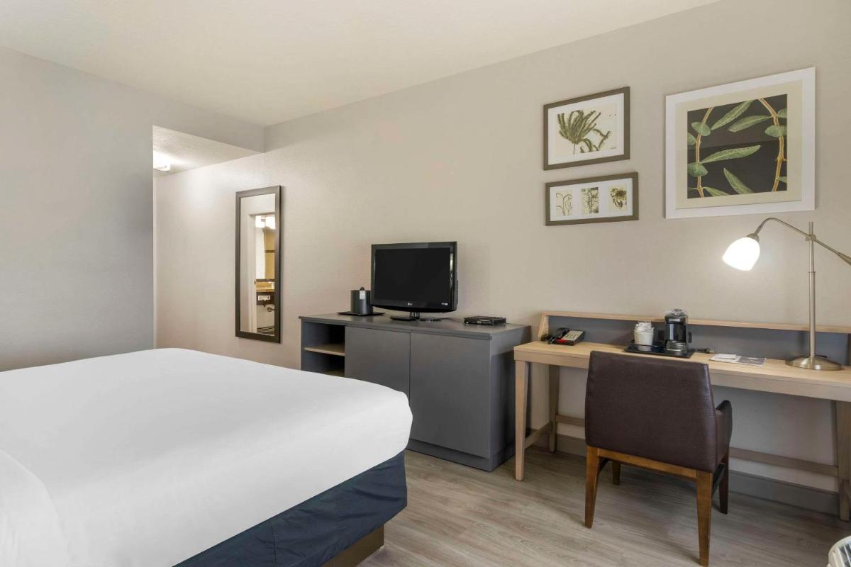 Country Inn & Suites by Radisson Tampa Airport North FL - image 7