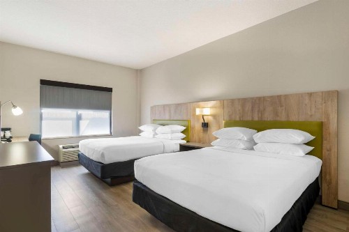 Country Inn & Suites by Radisson Tampa Airport North FL - image 8