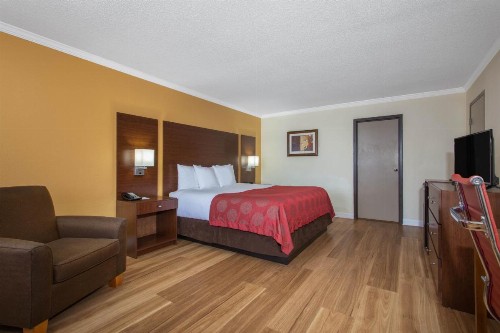 Ramada by Wyndham Tampa Airport Westshore - image 11