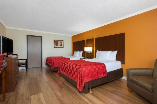 Ramada by Wyndham Tampa Airport Westshore - image 15