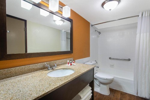 Ramada by Wyndham Tampa Airport Westshore - image 18