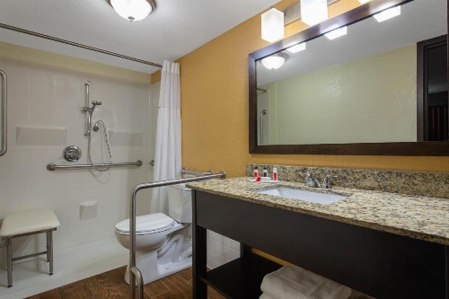 Ramada by Wyndham Tampa Airport Westshore - image 19