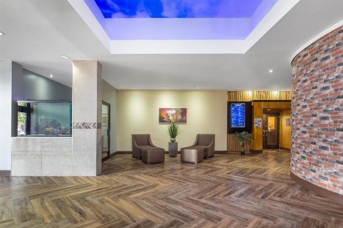 Ramada by Wyndham Tampa Airport Westshore - image 5