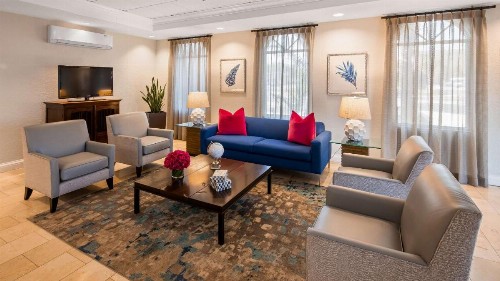 Best Western Tampa - image 18