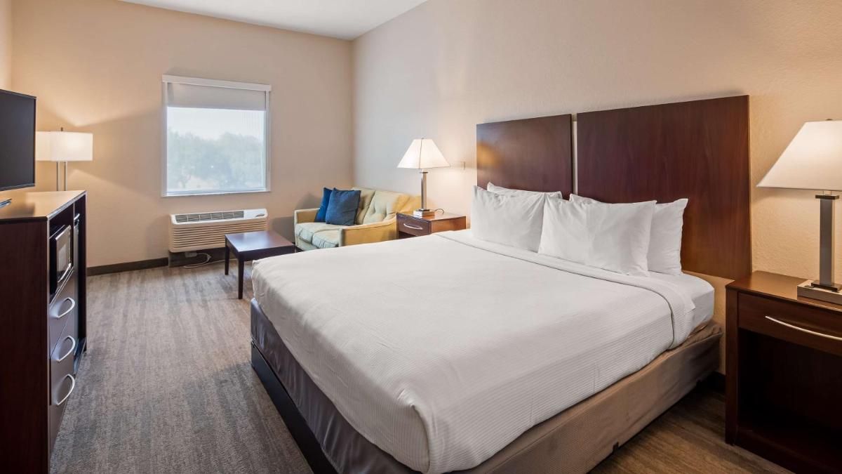 Best Western Tampa - image 4
