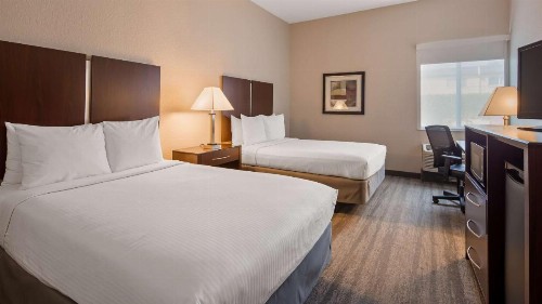 Best Western Tampa - image 6