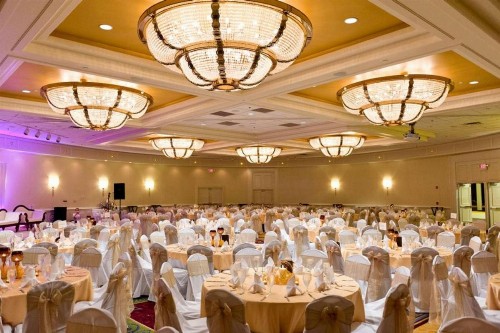 Tampa Airport Marriott - image 50