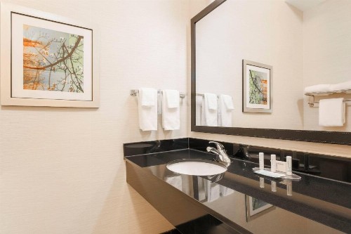 Fairfield Inn & Suites Tampa Fairgrounds/Casino - image 14