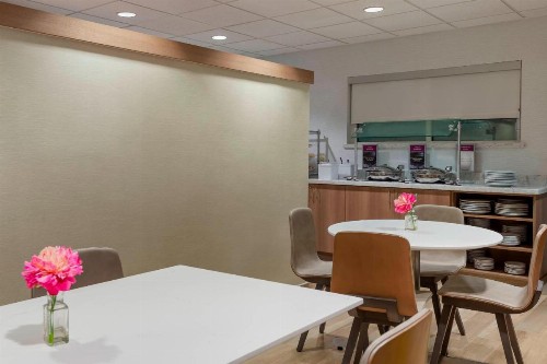 Residence Inn by Marriott Tampa at USF/Medical Center - image 23