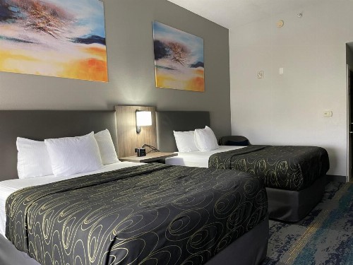 La Quinta by Wyndham Tampa Central - image 27