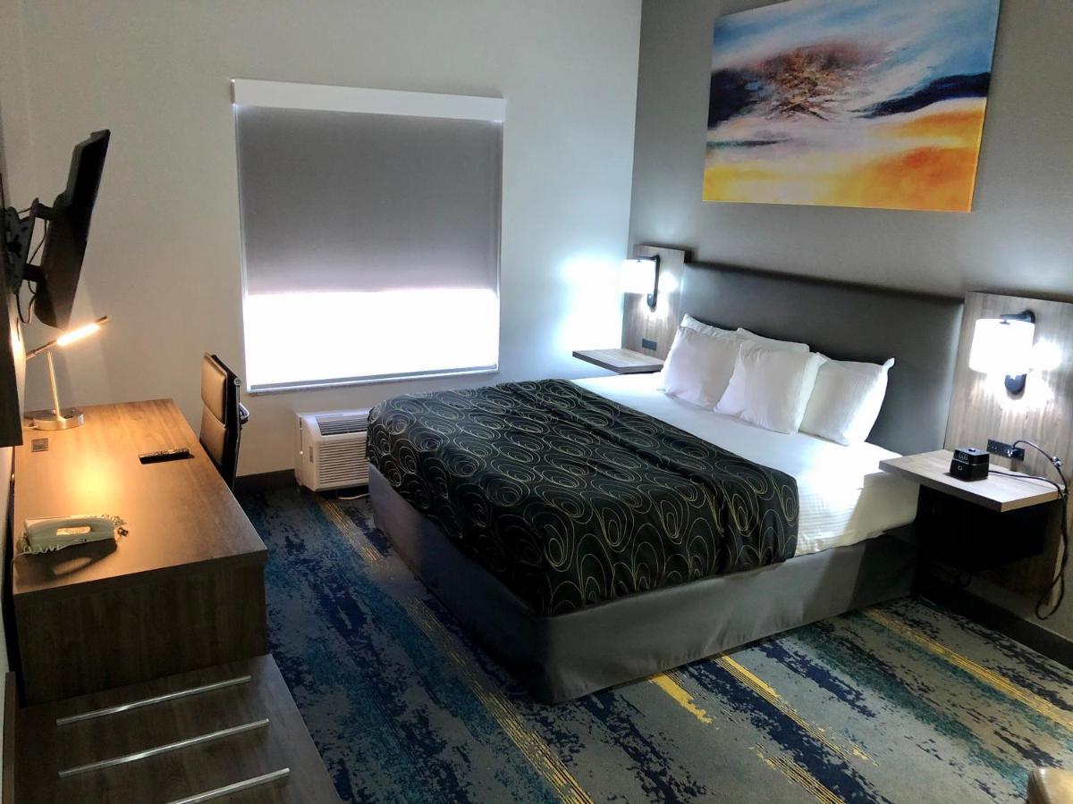La Quinta by Wyndham Tampa Central - image 5