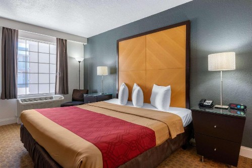 Econo Lodge at Raymond James Stadium - image 10