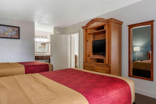 Econo Lodge at Raymond James Stadium - image 23