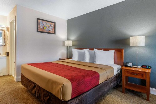 Econo Lodge at Raymond James Stadium - image 6