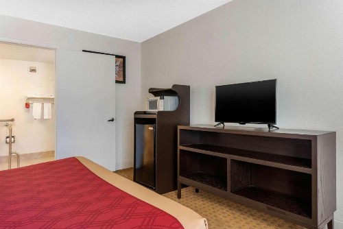 Econo Lodge at Raymond James Stadium - image 9