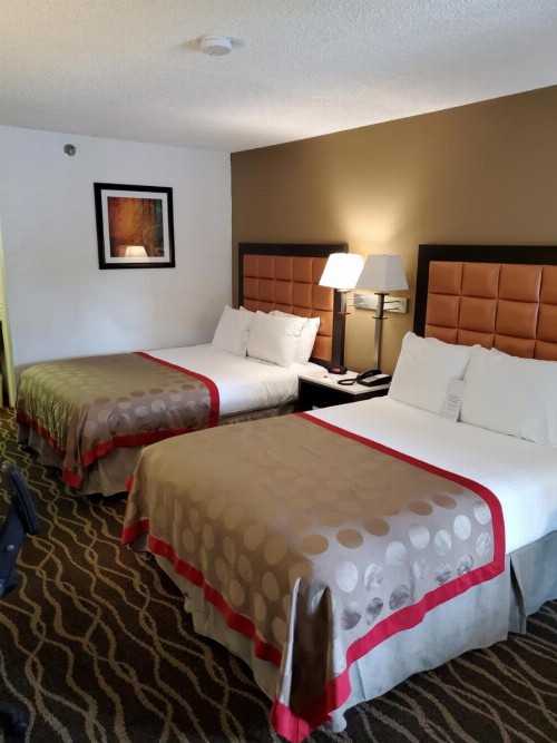 Ramada by Wyndham Temple Terrace/Tampa North - image 30
