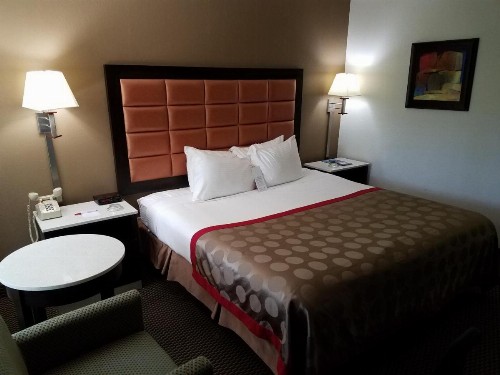 Ramada by Wyndham Temple Terrace/Tampa North - image 31