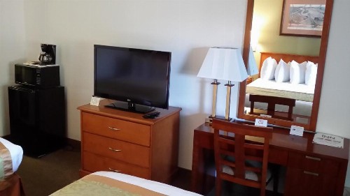 Ramada by Wyndham Temple Terrace/Tampa North - image 33