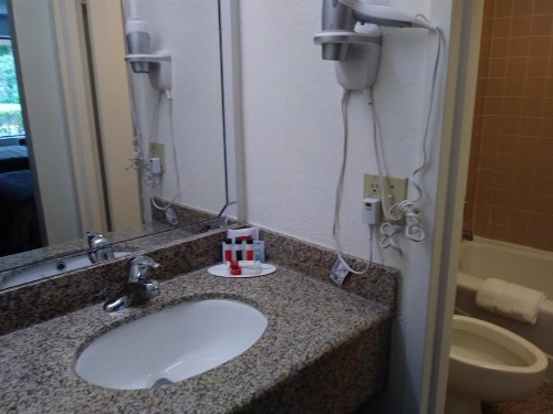 Ramada by Wyndham Temple Terrace/Tampa North - image 34