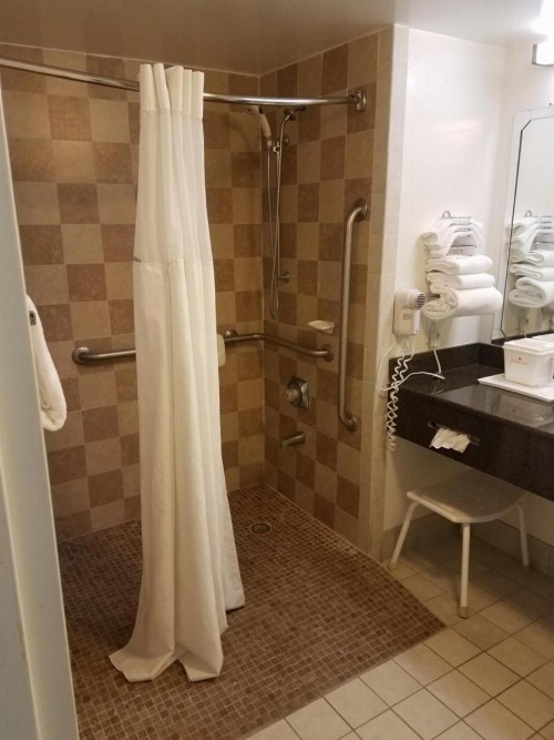 Ramada by Wyndham Temple Terrace/Tampa North - image 38