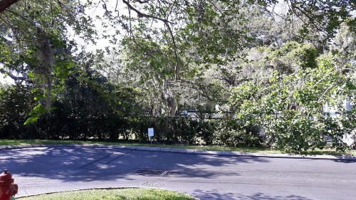 Ramada by Wyndham Temple Terrace/Tampa North - image 39