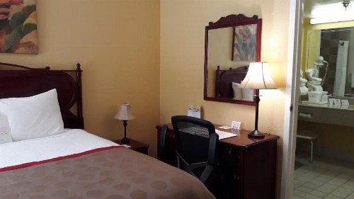 Ramada by Wyndham Temple Terrace/Tampa North - image 40