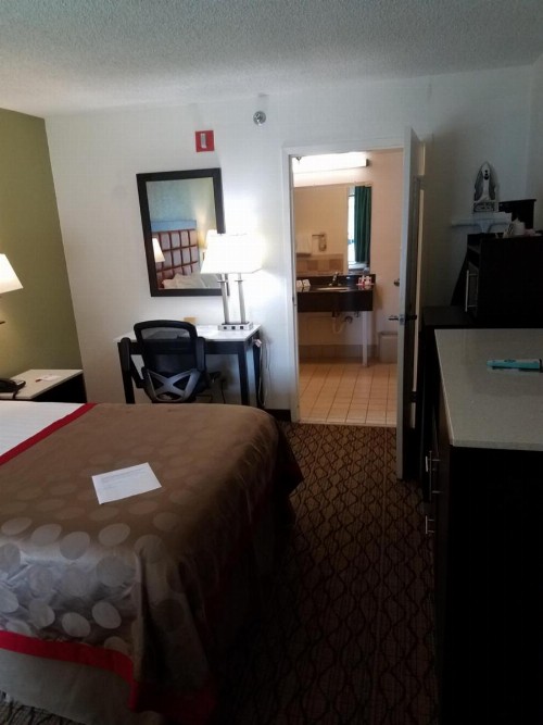 Ramada by Wyndham Temple Terrace/Tampa North - image 41