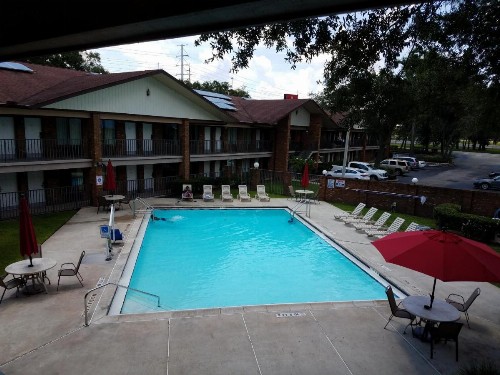 Ramada by Wyndham Temple Terrace/Tampa North - image 43
