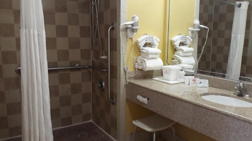 Ramada by Wyndham Temple Terrace/Tampa North - image 48