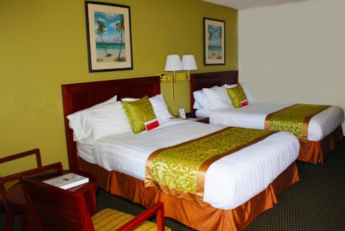 Ramada by Wyndham Temple Terrace/Tampa North - image 8