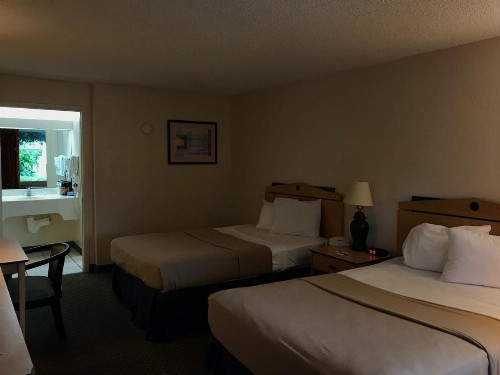 Vista Inn And Suites Tampa - image 2