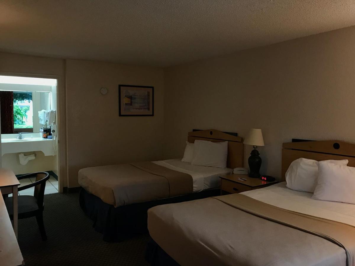 Vista Inn And Suites Tampa - image 2