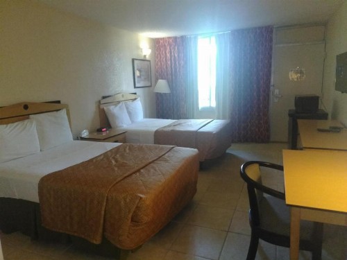 Vista Inn And Suites Tampa - image 5