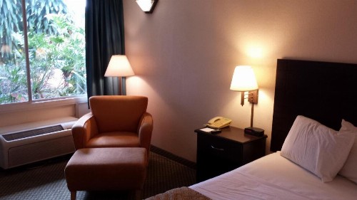 Vista Inn And Suites Tampa - image 7
