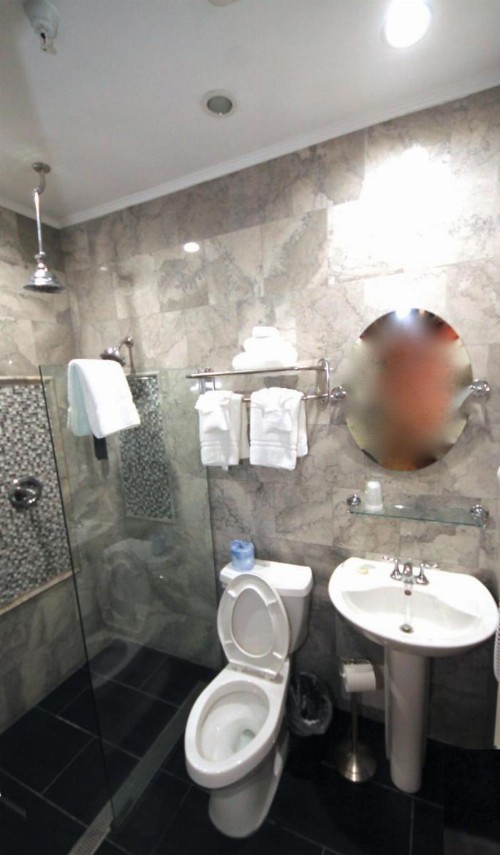Hyde Park Hotel - image 37