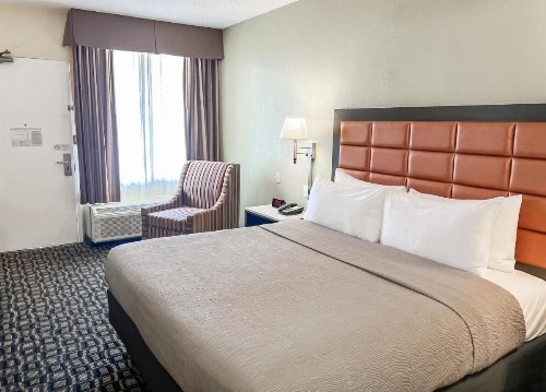 Quality Inn Airport - Cruise Port - image 11