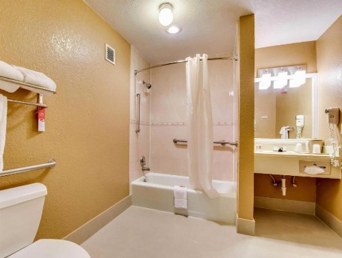 Econo Lodge Busch Gardens Tampa - image 11