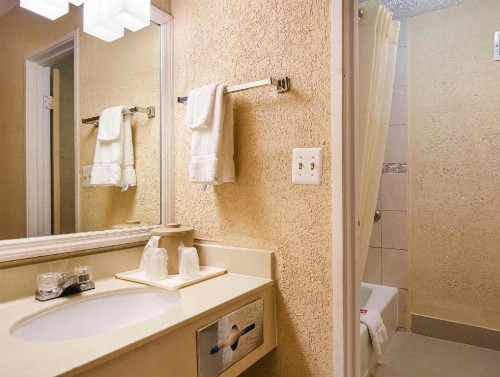 Econo Lodge Busch Gardens Tampa - image 12