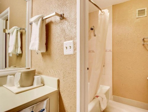Econo Lodge Busch Gardens Tampa - image 13