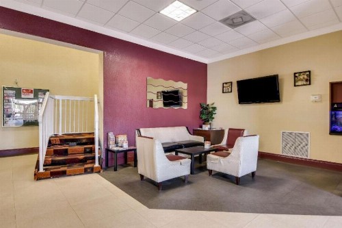 Econo Lodge Busch Gardens Tampa - image 3