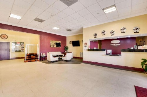 Econo Lodge Busch Gardens Tampa - image 6