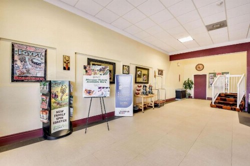 Econo Lodge Busch Gardens Tampa - image 9