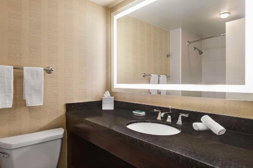 Hilton Tampa Downtown - image 45