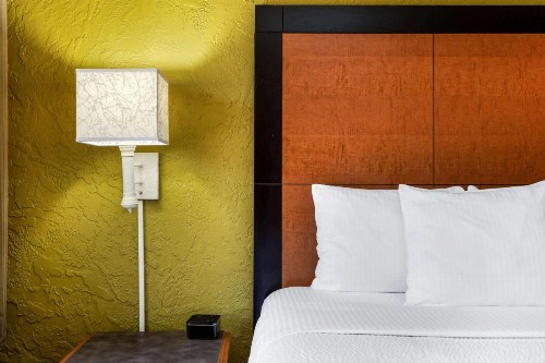 La Quinta Inn by Wyndham Tampa Bay Airport - image 19
