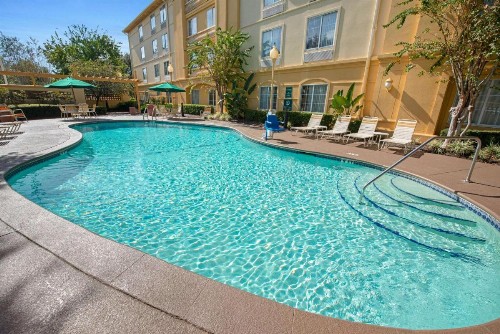 La Quinta by Wyndham USF (Near Busch Gardens) - image 20