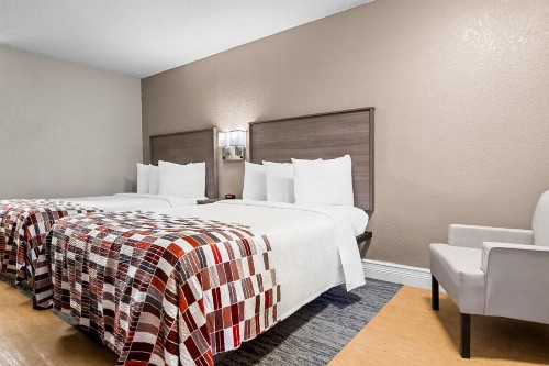 Red Roof Inn Tampa Fairgrounds - Casino - image 11