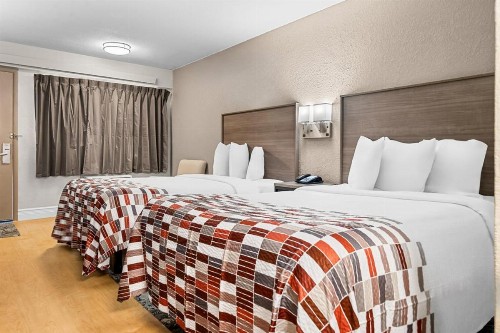 Red Roof Inn Tampa Fairgrounds - Casino - image 19